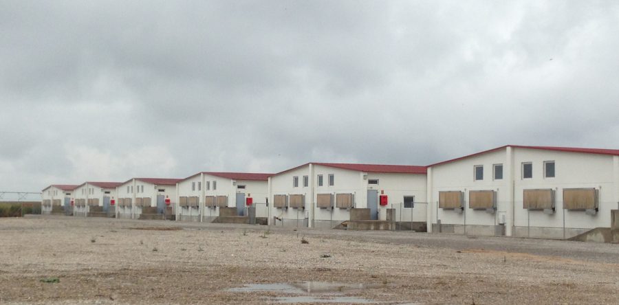 2014 CANDASNOS – GRANJAS PORCINO – E.G.ESTICHE