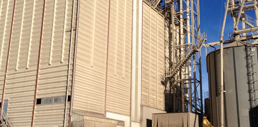 2000 FRAGA – TOLVA SEMILLAS – CINCAPORC