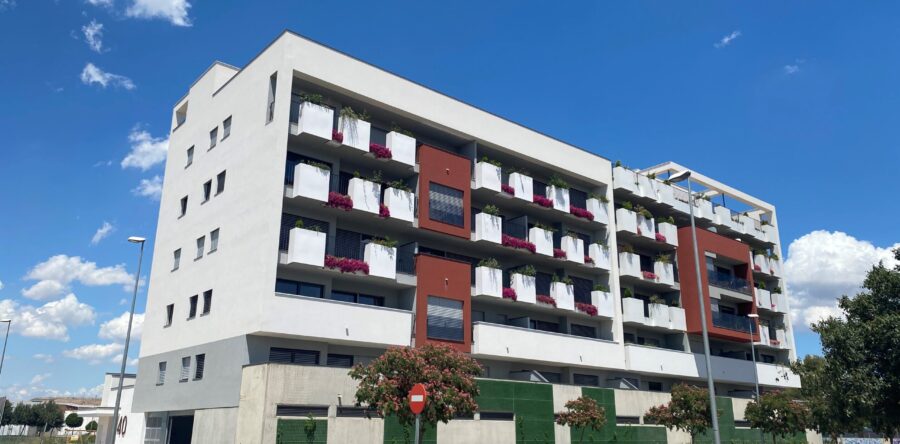 2021 Maestro Falla 40